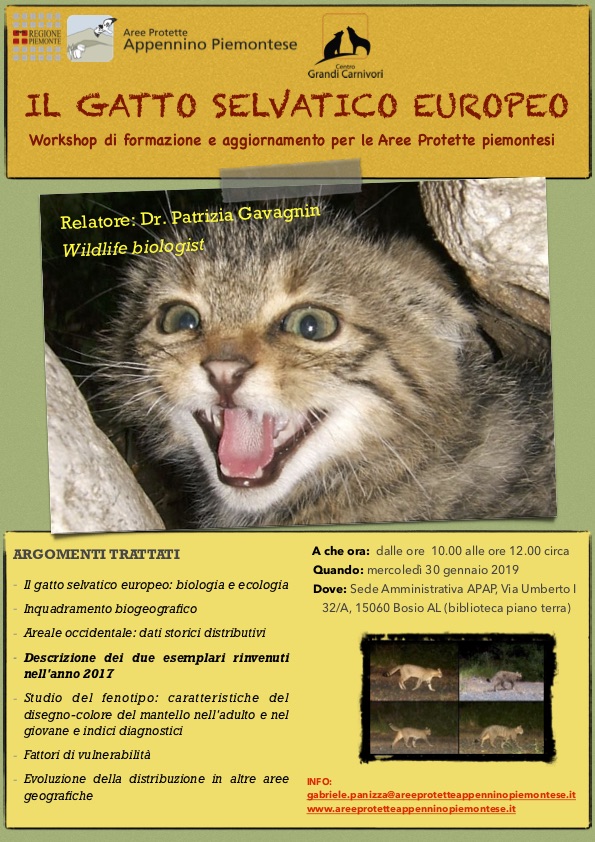 Il gatto selvatico europeo - Workshop di formazione e aggiornamento per le Aree Protette piemontesi